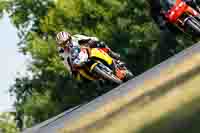 brands-hatch-photographs;brands-no-limits-trackday;cadwell-trackday-photographs;enduro-digital-images;event-digital-images;eventdigitalimages;no-limits-trackdays;peter-wileman-photography;racing-digital-images;trackday-digital-images;trackday-photos